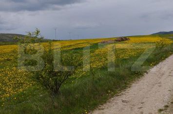 Teren de vanzare PETRESTII DE MIJLOC - Cluj anunturi imobiliare Cluj