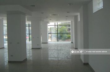 Birou de inchiriat PARCUL CAROL - Bucuresti anunturi imobiliare Bucuresti