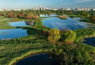 75.420 €, Garsonieră