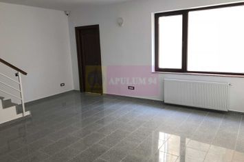 Vila de inchiriat Parcul Carol Budapesta Unirii anunturi imobiliare Bucuresti