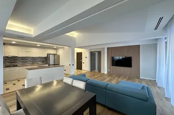 Penthouse 4 camere 247 mp Padurea Baneasa Sector 1 anunturi imobiliare Bucuresti
