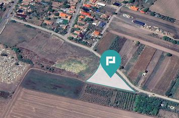 Teren intravilan de 4500 mp în Zădăreni anunturi imobiliare Arad