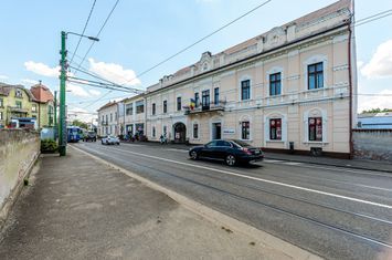 Oportunitate unică de investiție în centrul orașului Arad! anunturi imobiliare Arad