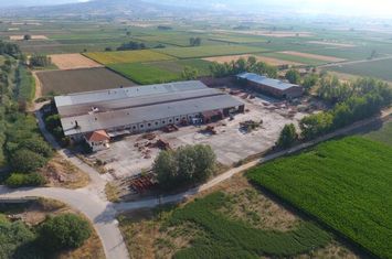 Spațiu industrial 10049 mp în Skotoussa anunturi imobiliare Grecia