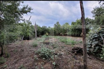 Casă - 3 camere de vanzare TARGU-JIU - Gorj anunturi imobiliare Gorj