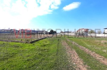 Corbeanca - Tamas, teren intravilan 19.325 mp anunturi imobiliare Bucuresti