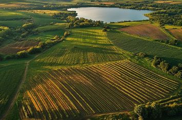 FERMĂ AGRICOLĂ PREMIUM 300 HA – INVESTIȚIE STRATEGICĂ ÎN TRANSILVANIA anunturi imobiliare Cluj