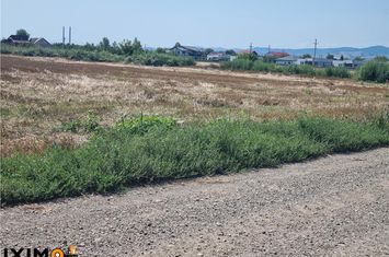 Teren Intravilan de vanzare CENTRAL - Bacau anunturi imobiliare Bacau