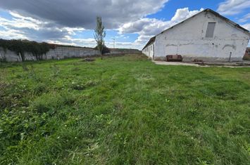 Teren+clădiri 60.000 mp.18 euro mp.deschidere la autostradă, anunturi imobiliare Mures