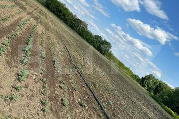 Teren de vanzare RADAUTI - Suceava anunturi imobiliare Suceava