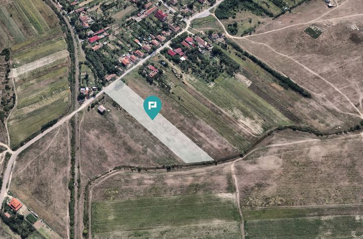 Teren Extravilan –Oportunitate Unică de Investiții anunturi imobiliare Timis