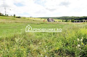 Teren 6.800mp teren cu deschidere de 100 m la drum asfaltat anunturi imobiliare Mures