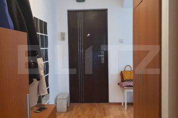 Garsonieră de vanzare BLASCOVICI - Timis anunturi imobiliare Timis