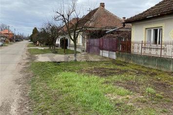 Casă - 3 camere de vanzare CENTRAL - Bihor anunturi imobiliare Bihor