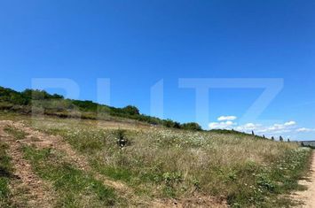 Teren de vanzare CETATE - Alba anunturi imobiliare Alba