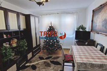 Apartament 2 camere de vanzare CENTRAL - Alba anunturi imobiliare Alba