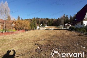 Teren Intravilan de vanzare BUSTENI - Prahova anunturi imobiliare Prahova