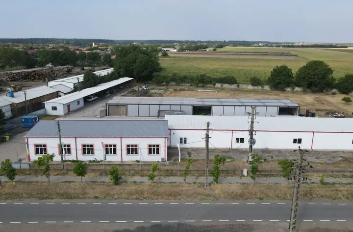 Hale depozitare/producție 2.000 mp si 10.000 mp teren în Pecica anunturi imobiliare Arad