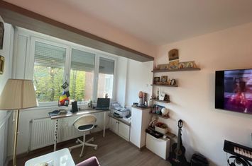 Apartament 3 camere de vanzare COMPLEX STUDENTESC - Timis anunturi imobiliare Timis