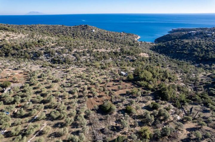 Teren agricol 1929 mp în Astrida, Thassos anunturi imobiliare Grecia