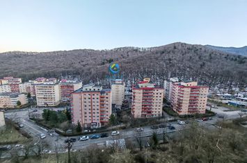 Apartament 2 camere de inchiriat RACADAU - Brasov anunturi imobiliare Brasov