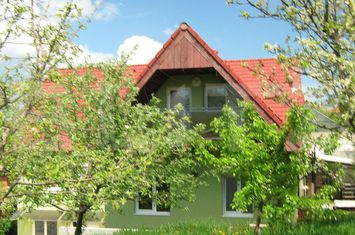 Vilă - 8 camere de vanzare CLUJ-NAPOCA - Cluj anunturi imobiliare Cluj