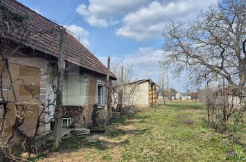 Teren de vanzare MICULA - Satu Mare anunturi imobiliare Satu Mare