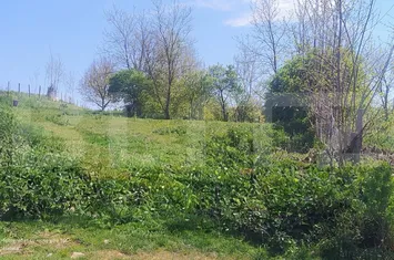 Teren de vanzare FIZESU GHERLII - Cluj anunturi imobiliare Cluj