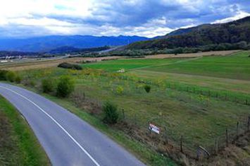 Teren de vanzare TALMACIU - Sibiu anunturi imobiliare Sibiu