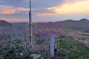 Săbăreni, teren curti-constructii 610 mp cu utilităti anunturi imobiliare Giurgiu