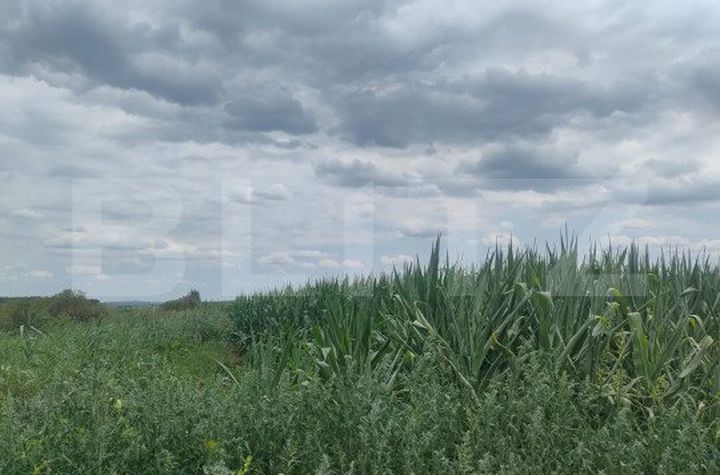 Teren de vanzare RADAUTI - Suceava anunturi imobiliare Suceava
