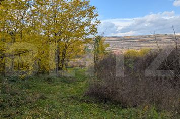 Teren de vanzare SARD - Alba anunturi imobiliare Alba