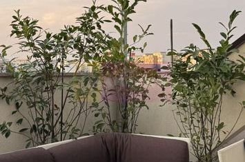 Apartament 3 camere cu terasă 133 mp, Timpuri Noi anunturi imobiliare Bucuresti
