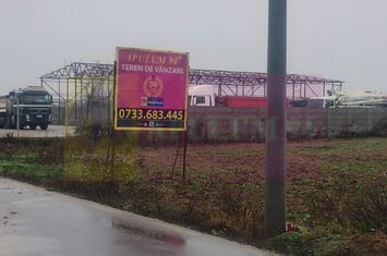 Dragomiresti-Vale, lângă Șoseaua de Centură, pretabil hale, productie anunturi imobiliare Bucuresti