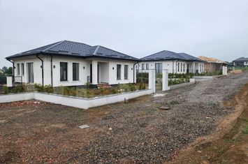 Casă - 3 camere de vanzare SALCEA - Suceava anunturi imobiliare Suceava
