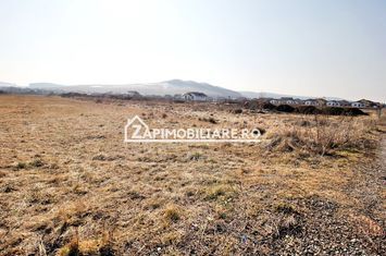 Teren  Intravilan 2.075 mp. 59.euro mp.Sangeorgiu de Mures anunturi imobiliare Mures