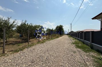 TEREN DE VANZARE, MIROSLAVA, VALEA URSULUI, STR. PETALELOR anunturi imobiliare Iasi