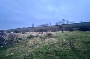 Teren de vanzare ORADEA - Bihor anunturi imobiliare Bihor