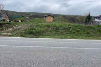 Teren Tomesti! 17 Euro mp! anunturi imobiliare Iasi