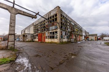 Hală pretabilă confecții metalice în Vladimirescu anunturi imobiliare Arad