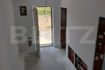 Vilă - 4 camere de vanzare MOSNITA VECHE - Timis anunturi imobiliare Timis