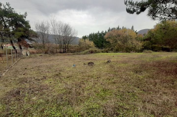Teren 337 mp în Amisiana, Kavala anunturi imobiliare Grecia