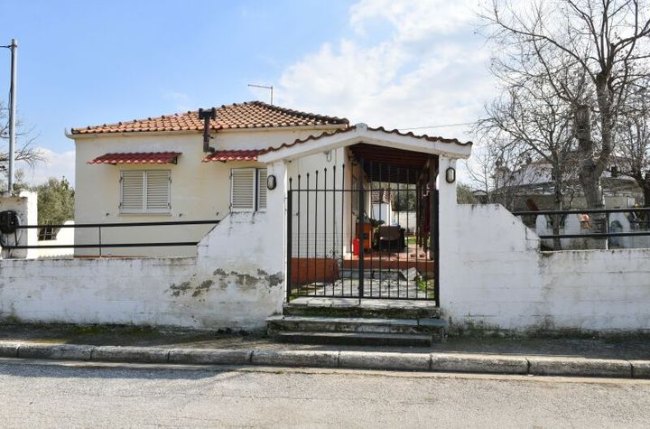 Casă parter 56 mp în Therma Serres, teren 578 mp anunturi imobiliare Grecia