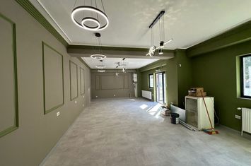 Spațiu comercial de vanzare ROVINE - Dolj anunturi imobiliare Dolj