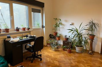 Dacia, Gradina Icoanei, vanzare apartament 3 camere, 87 mp utili+ dependinte, imobil de 3 etaje, anunturi imobiliare Bucuresti