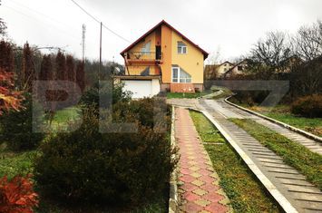 Vilă - 7 camere de vanzare TARGOVISTE - Dambovita anunturi imobiliare Dambovita