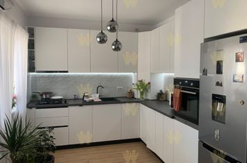 Duplex de vanzare anunturi imobiliare Timis