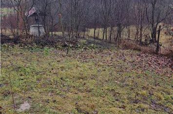 Casă - 4 camere de vanzare OCNELE MARI - Valcea anunturi imobiliare Valcea