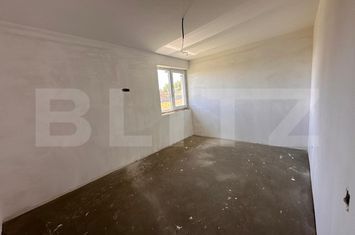 Casă - 4 camere de vanzare PALEU - Bihor anunturi imobiliare Bihor