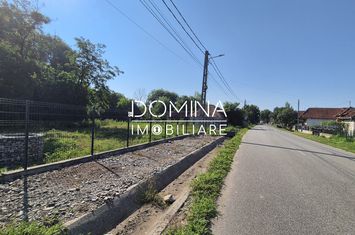 Teren de vanzare BRADICENI - Gorj anunturi imobiliare Gorj